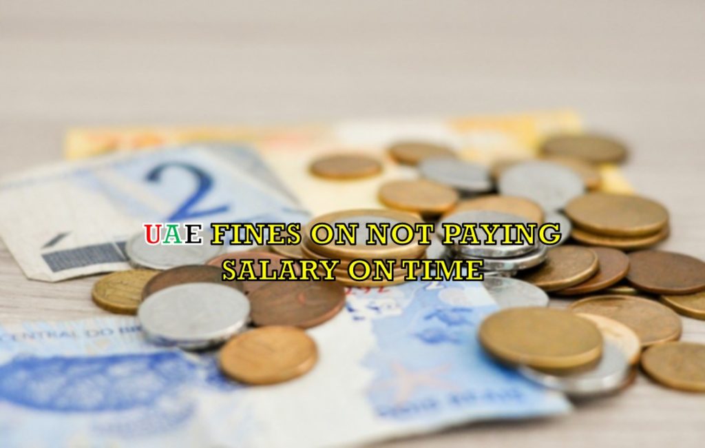 Delay in Salary and Wages Protection for UAE Workers